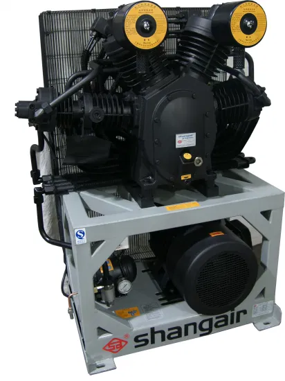 High Quality Shangair High Pressure Screw Piston Industry Air Compressor for Blow Molding Machine